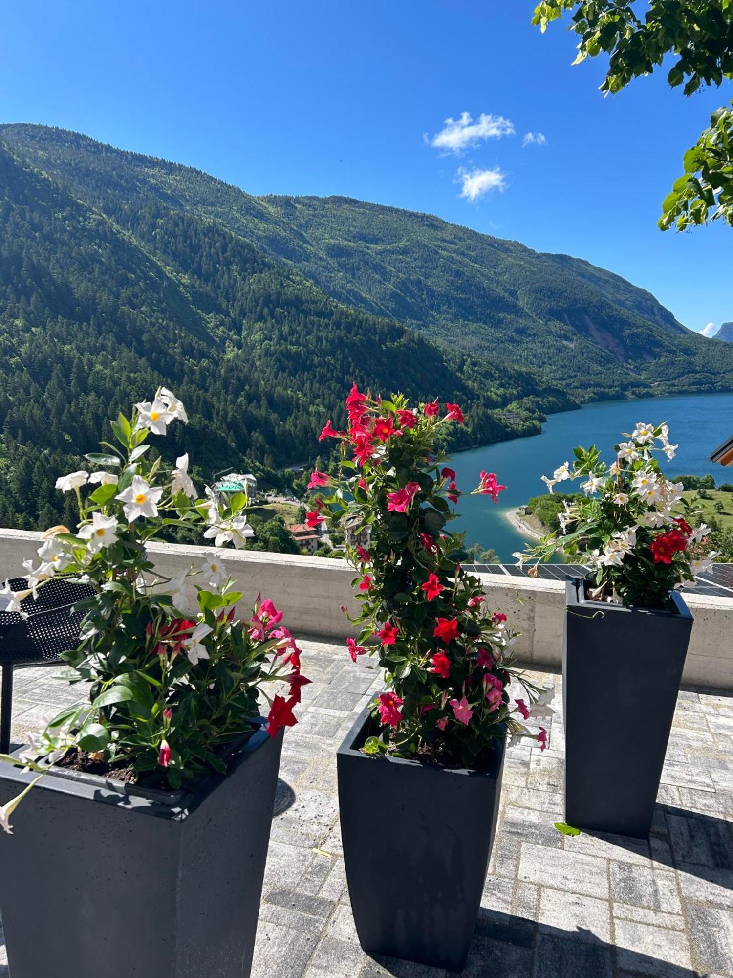 Hotel Aurora مولفينو المظهر الخارجي الصورة